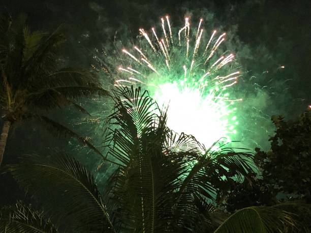 istock Fireworks behind Palm Trees at the Beach 908296810