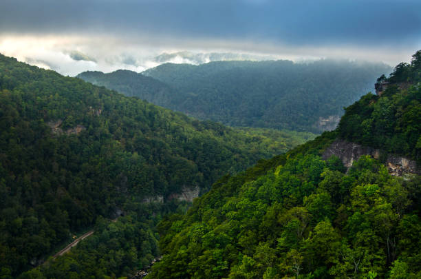 de manhã cedo no breaks - cumberland plateau - fotografias e filmes do acervo