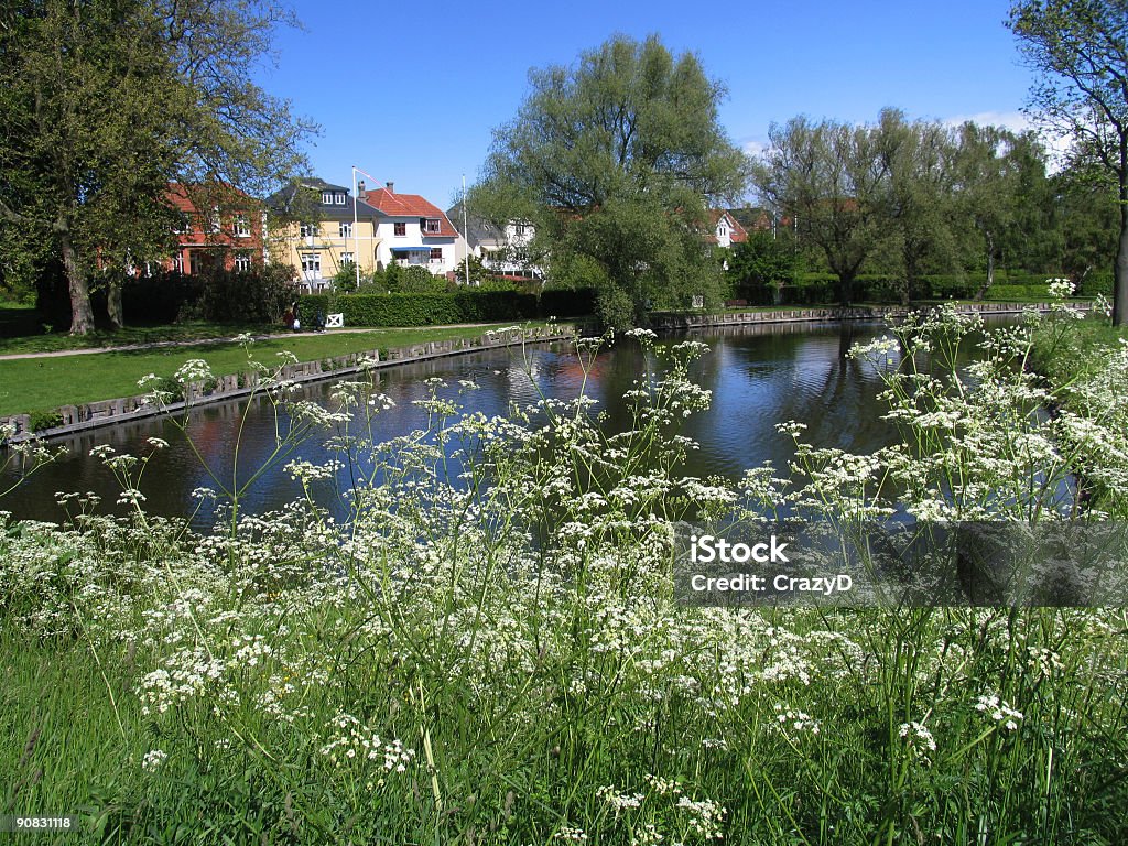 Idyllische - Lizenzfrei Baum Stock-Foto