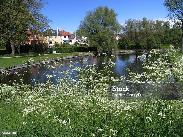 Idyllische Stockfoto und mehr Bilder von Baum - Baum, Blau, Dänemark