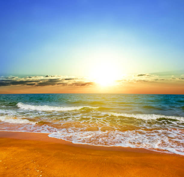 istock summer sandy sea beach at the sunset 908314174