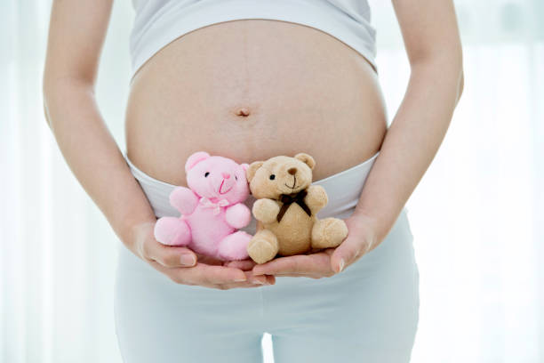 istock Pregnant woman holding two small teddy bears 908317306