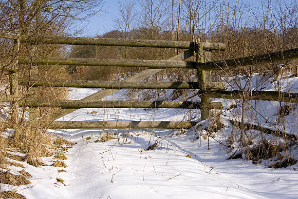 snowed meadow stock photo