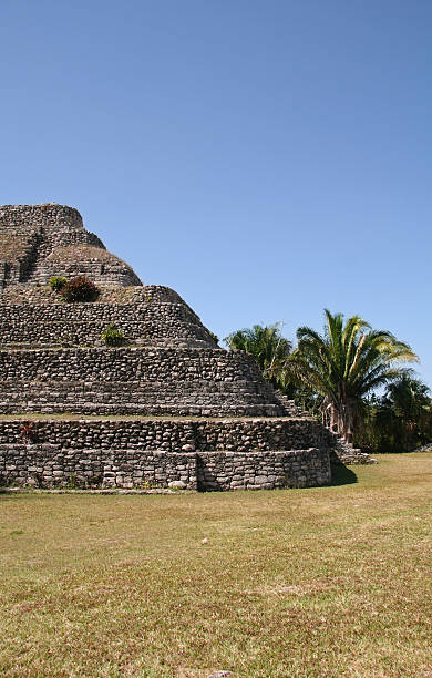 rovine maya - chacchoben foto e immagini stock