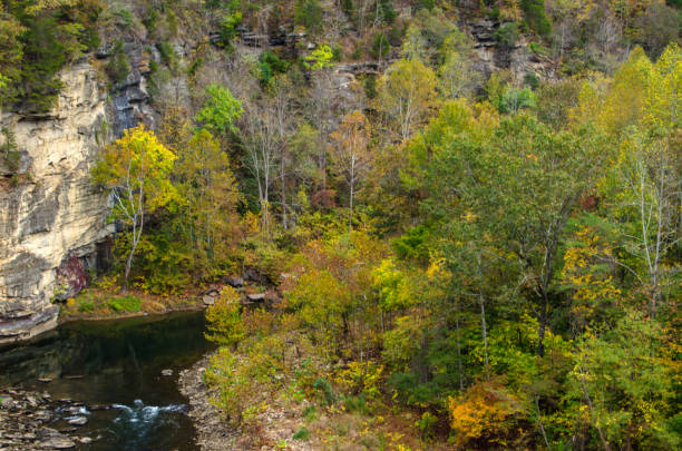 istock Autumn Along the Russle Fork River 908324550
