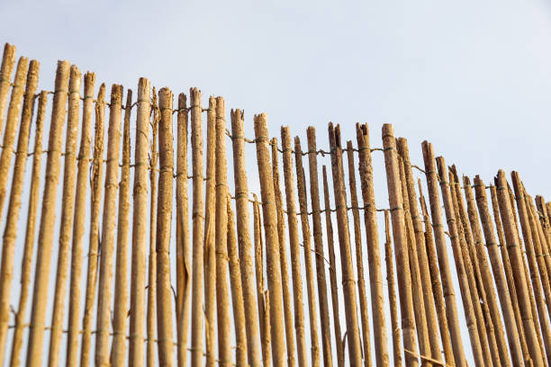 istock bamboo fence background on the beach 908327798
