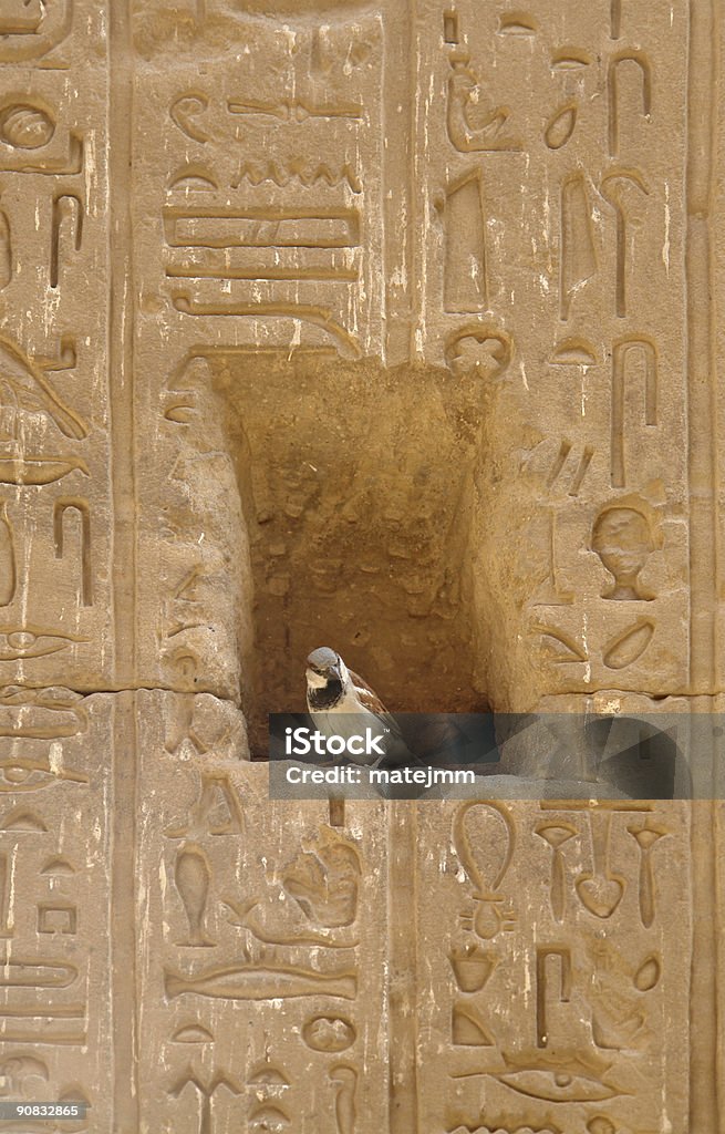 Questa è la mia sede - Foto stock royalty-free di Egitto