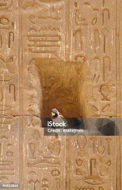 Questa È La Mia Sede - Fotografie stock e altre immagini di Egitto - Egitto, Fiume Nilo, Passero