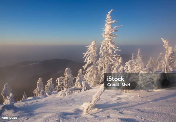 Árvores Congeladas - Fotografias de stock e mais imagens de Abeto - Abeto, Anoitecer, Ao Ar Livre