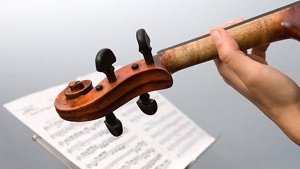 violine musiker - concertmaster stock-fotos und bilder