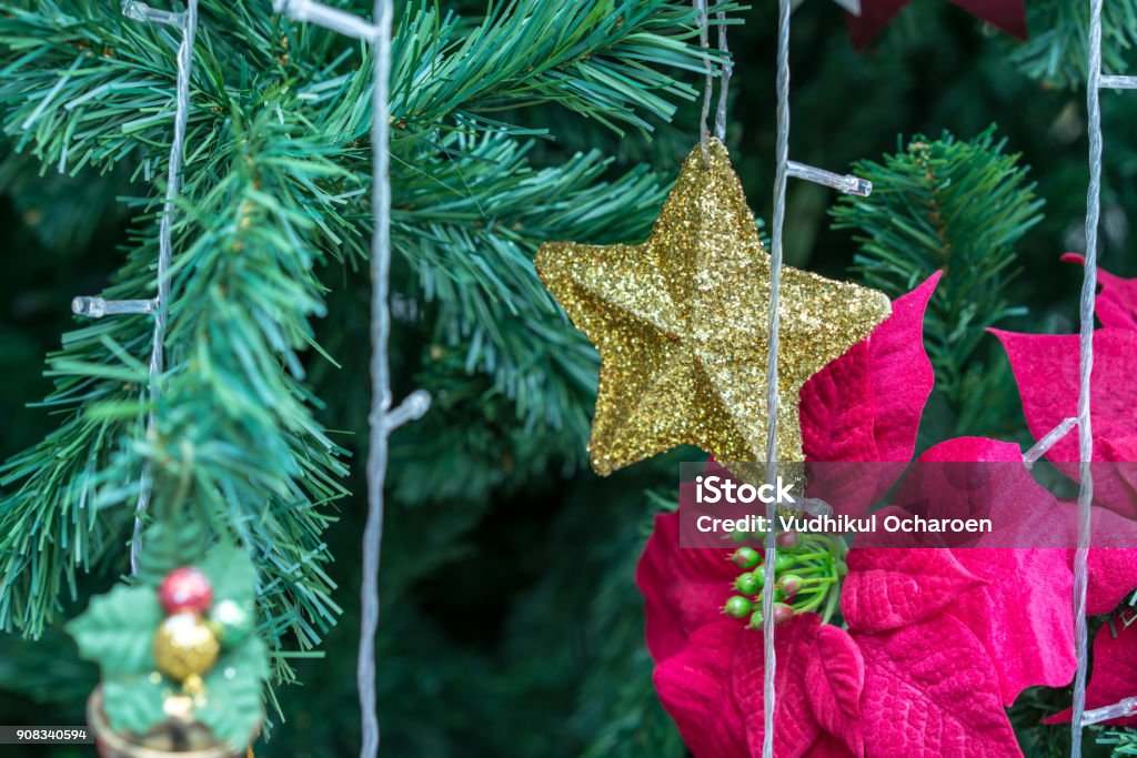 Closed up shiny gold Christmas star hanging under spruce tree for winter holiday background. Abstract Stock Photo