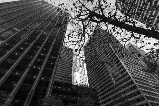 istock Skyrises in San Francisco 908340748