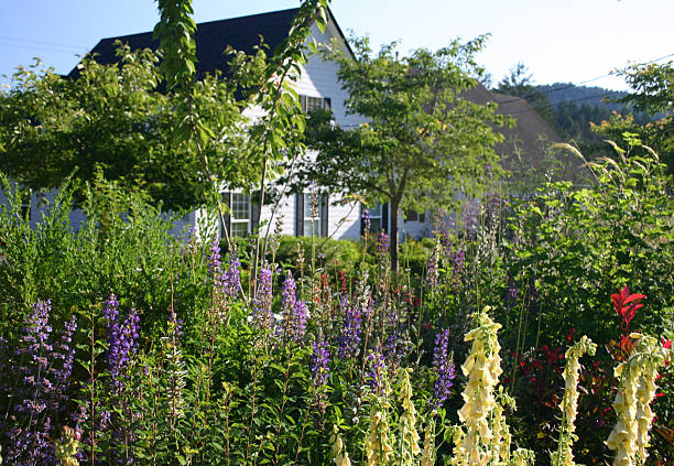 istock English Country Garden 90834189
