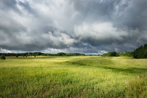 istock Green field against dark stormy clouds 908343442