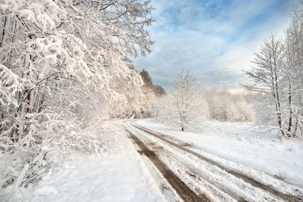 istock Road and a snow covered trees in Latvia 908343558