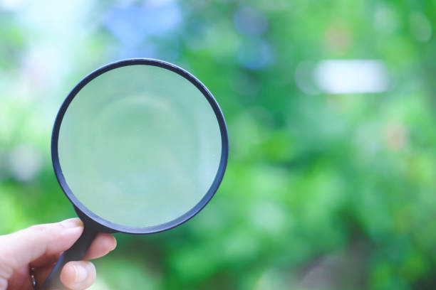 istock Hand holding a magnifying glass on blurred natural green background 908343662