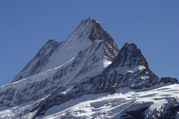 pico da montanha - schreckhorn - fotografias e filmes do acervo
