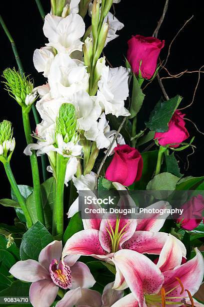 Photo libre de droit de Des Compositions Florales banque d'images et plus d'images libres de droit de Amour - Amour, Blanc, Disposition