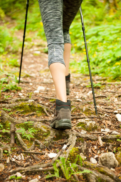 istock Active hiker hking on a narrow path in forest on a early spring afternoon 908347852