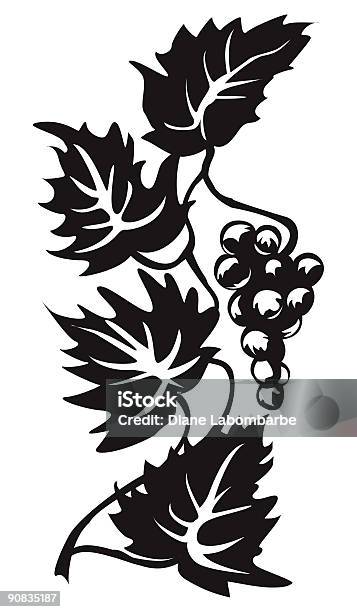 상이한 사이즈의 양식화된 꽃무늬 스케치 관상용 그레이프바인 및 포도 번치 실루엣 덩굴에 대한 스톡 벡터 아트 및 기타 이미지 - 덩굴, 스텐실, 0명