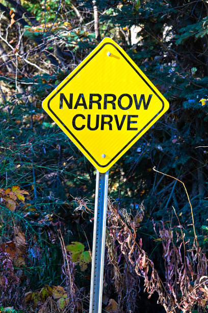 istock A yellow Narrow Curve sign with trees in the background 908353520