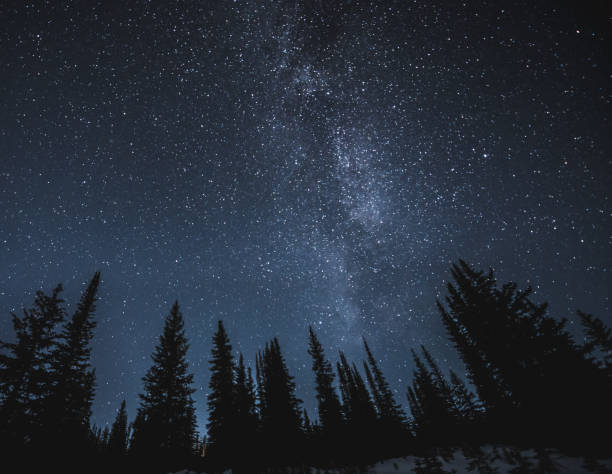 istock Stars and milky way above dark forest 908360136