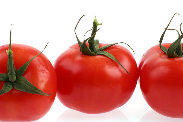 Healthy tomatoes lined up stock photo