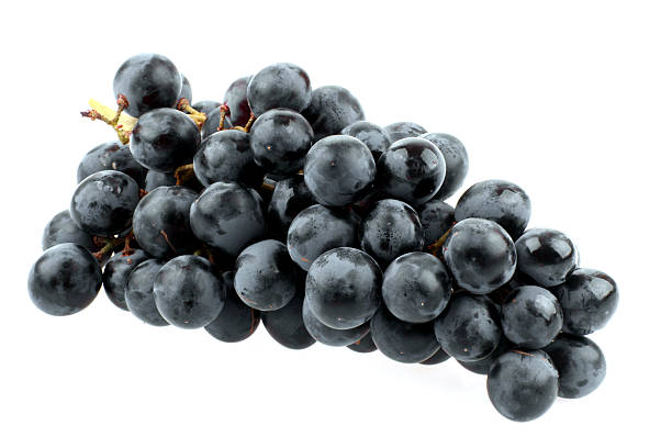 Blue grapes stock photo