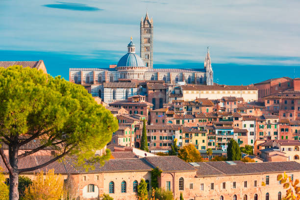 cathédrale de sienne dans la journée ensoleillée, toscane, italie - local landmark old town skyline cathedral photos et images de collection