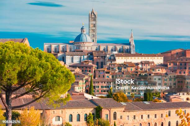 Siena Cathedral In The Sunny Day Tuscany Italy Stock Photo - Download Image Now - Siena - Italy, Siena Province, Italy