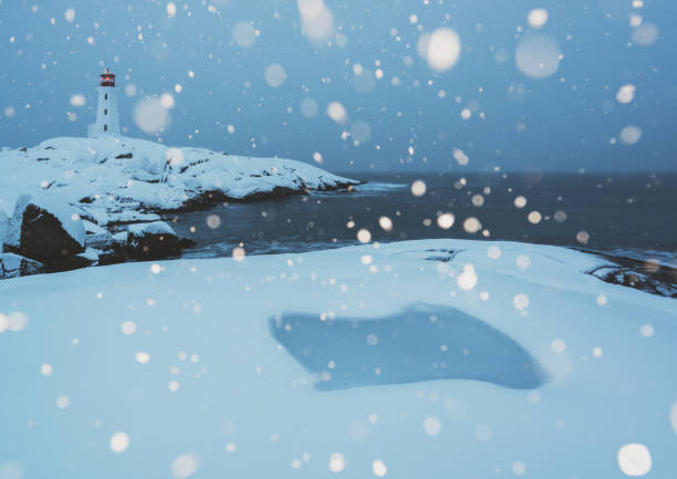 Snowy wooden boardwalk on frozen lake to birdwatching tower at sunset, light fog landscape