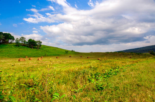 istock Green Grass Hill and hay bales 908363266