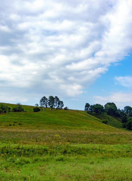 istock Green hills and blue sky with clouds 908363458