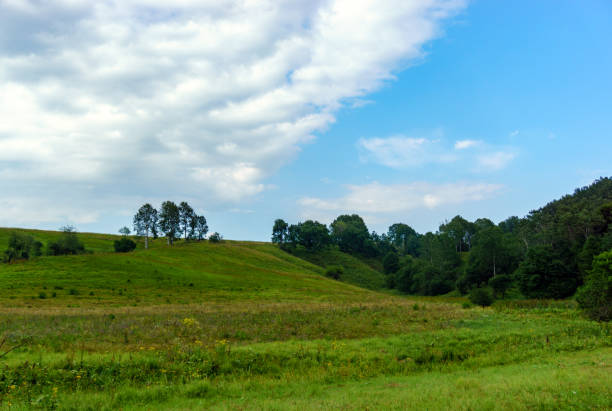 istock Green hills and blue sky with clouds 908363502