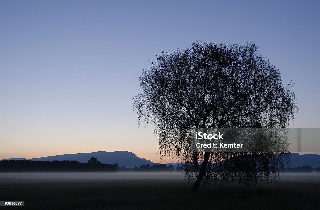 morning has broken  In Front Of Stock Photo