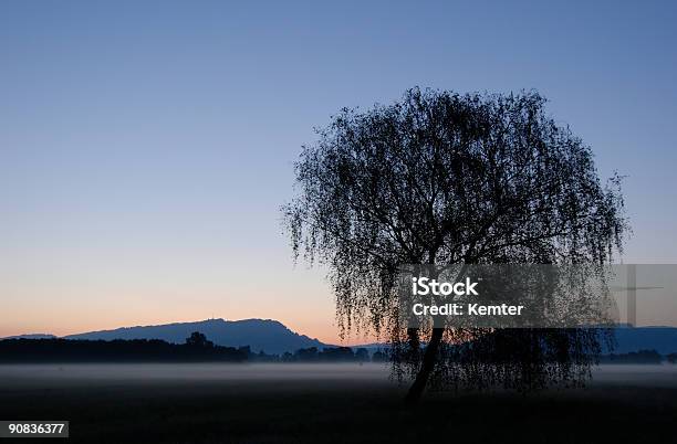 Morning Has Broken Stock Photo - Download Image Now - In Front Of, Sunrise - Dawn, Austria