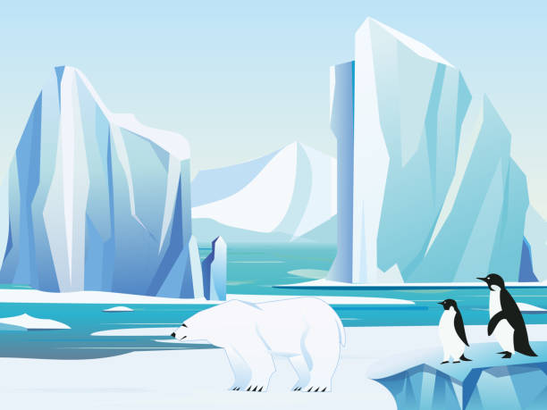 vector illustration arktische landschaft mit eisbären und pinguine, eisberg und bergen. kaltes klima winter hintergrund. - iceberg ice glacier cartoon stock-grafiken, -clipart, -cartoons und -symbole