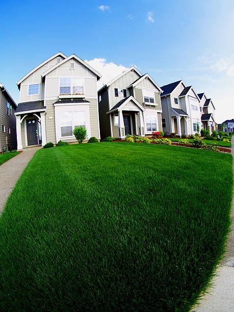 istock Houses and Lawn 90836831