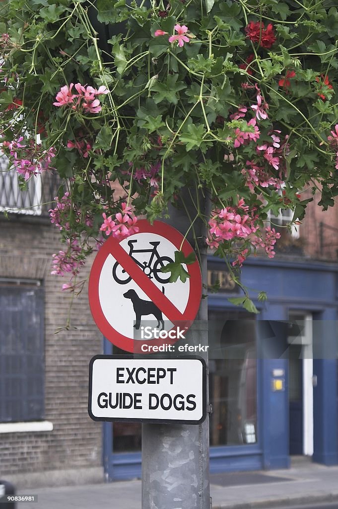 Nur Blindenhunde in Dublin - Lizenzfrei Assistenztier Stock-Foto