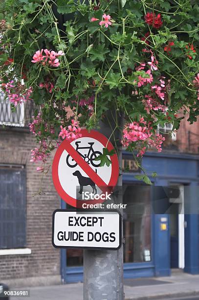 Nur Blindenhunde In Dublin Stockfoto und mehr Bilder von Assistenztier - Assistenztier, Insel Irland, Radfahren