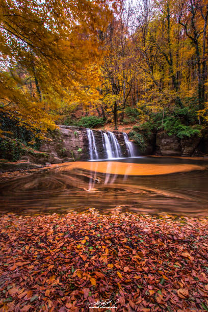 istock Dance of Colors in Autumn 908370258