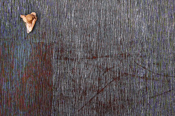 Wood Texture with a Tack stock photo