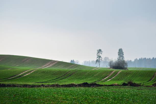 istock Dark dramatic rain clouds over countryside landscape. Autumn in Latvia. 908373716