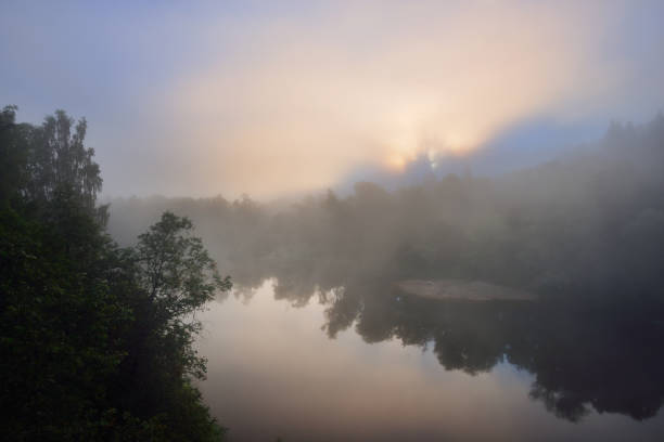 istock Fog in Gauja river valley at dawn 908373776