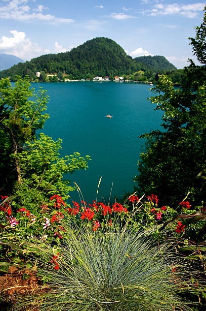 istock Flowers and the Lake 90837561