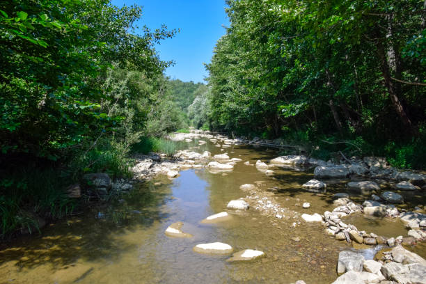 istock The mountain river. Shallow mountain river, water flows through the rocks. 908379732