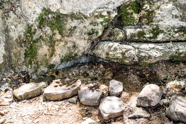 Water flowing from the stone. A stream running along the rocks