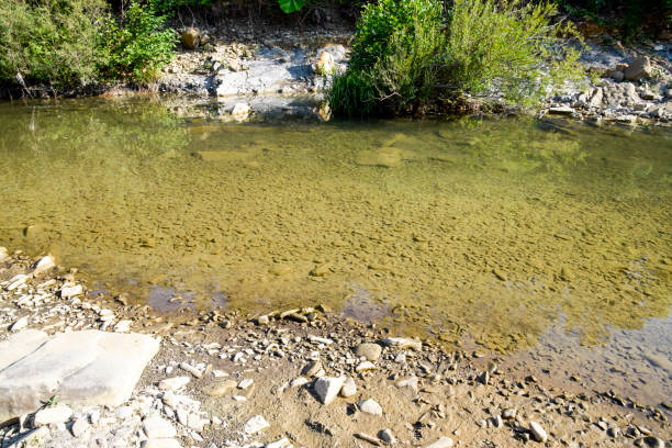 The mountain river. Shallow mountain river, water flows through the rocks. Rocks in the river water. Stones and layers of sedimentary rocks