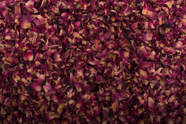 Photo of Background of dried  rose petals