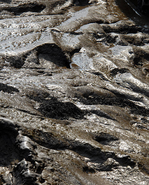 Wet Mud (3)  crud stock pictures, royalty-free photos & images